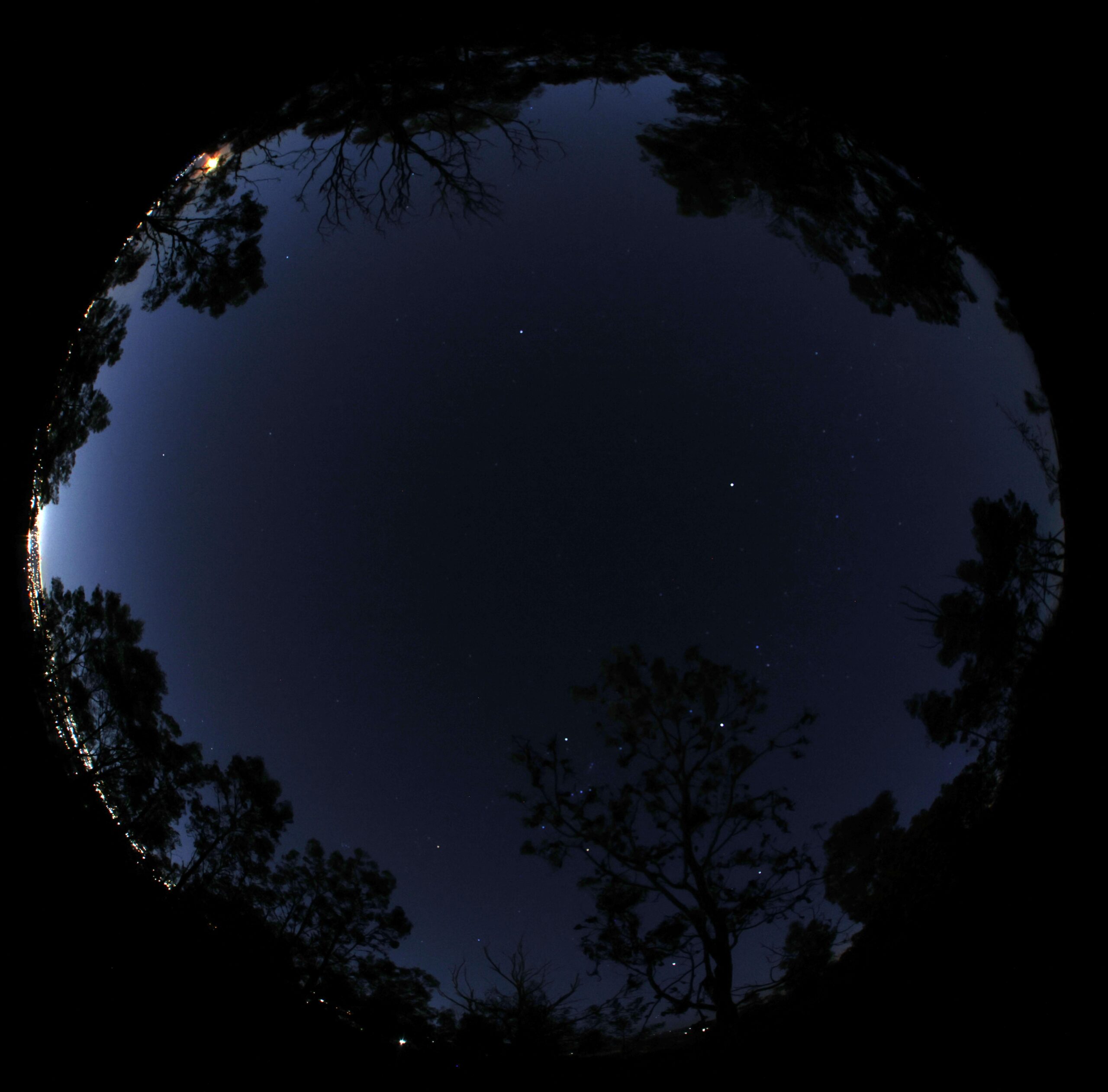 Artificial Light Impact Assessments (ALIA)